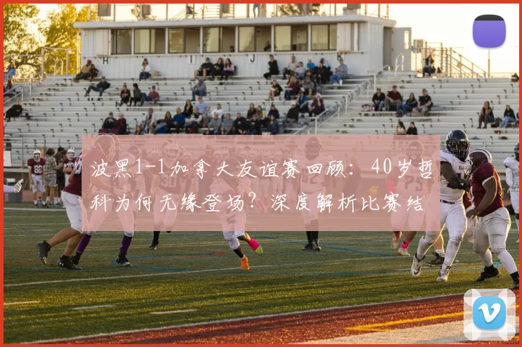 波黑1-1加拿大友谊赛回顾：40岁哲科为何无缘登场？深度解析比赛结果与球队近况