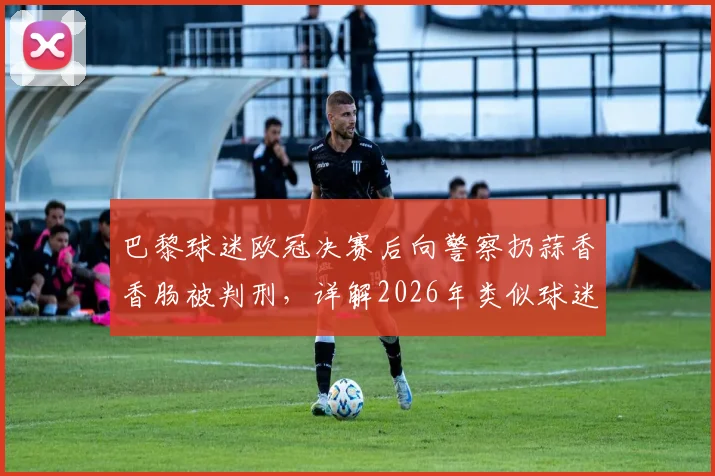 巴黎球迷欧冠决赛后向警察扔蒜香香肠被判刑,详解2026年类似球迷过激行为的法律风险